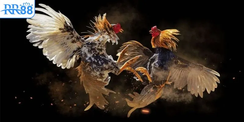 Sử dụng DNS để truy cập website bị chặn